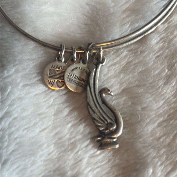 Alex and Ani Silver Minimalist Charm Bracelets Set - Picture 7 of 8